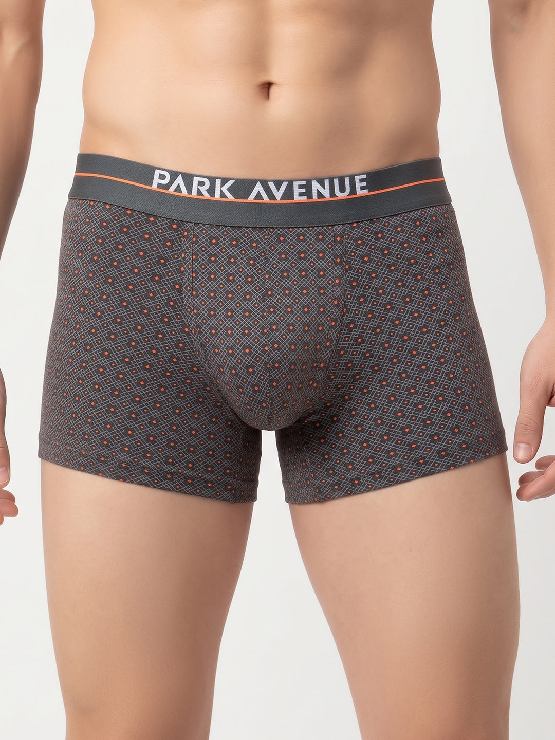 Park Avenue Men Grey Stretch Trunk