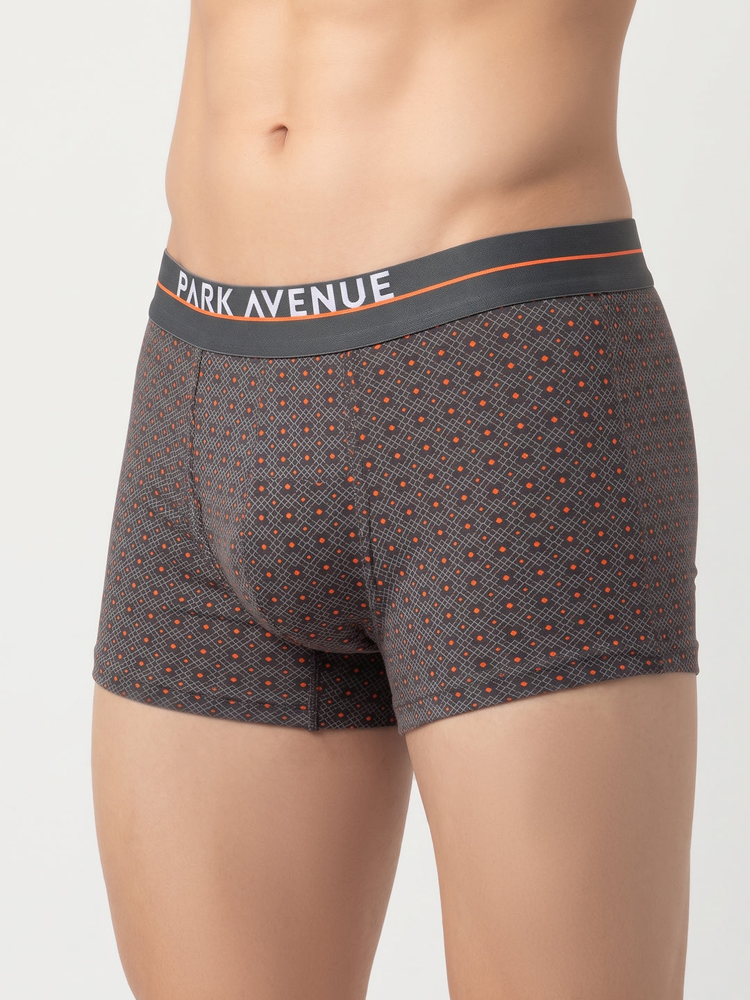 Park Avenue Men Grey Stretch Trunk