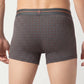 Park Avenue Men Grey Stretch Trunk