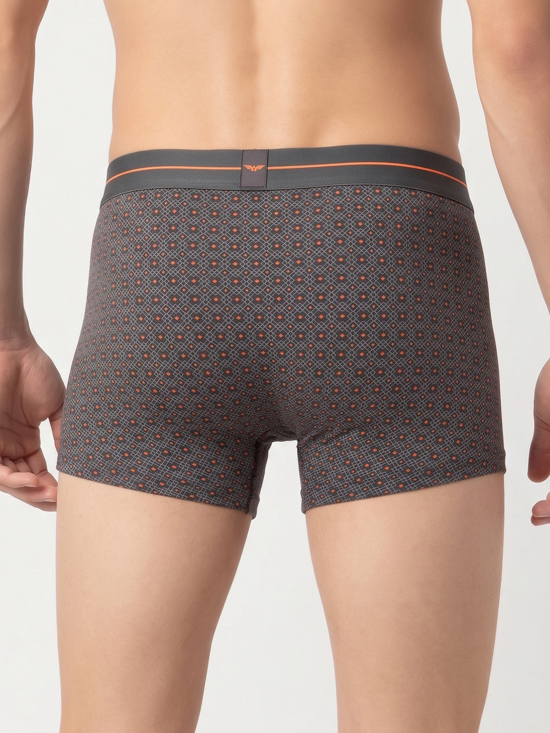 Park Avenue Men Grey Stretch Trunk