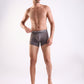 Park Avenue Grey Trunk