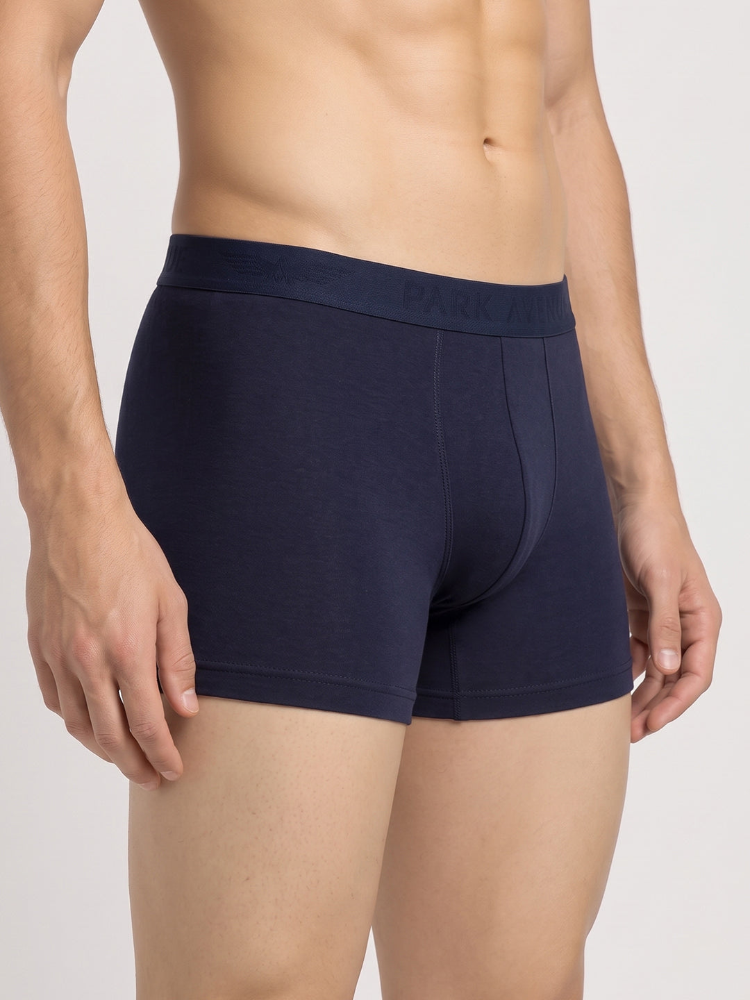 Park Avenue Blue Trunk