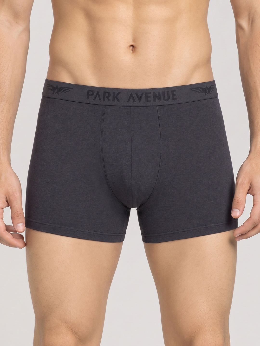 Park Avenue Grey Trunk