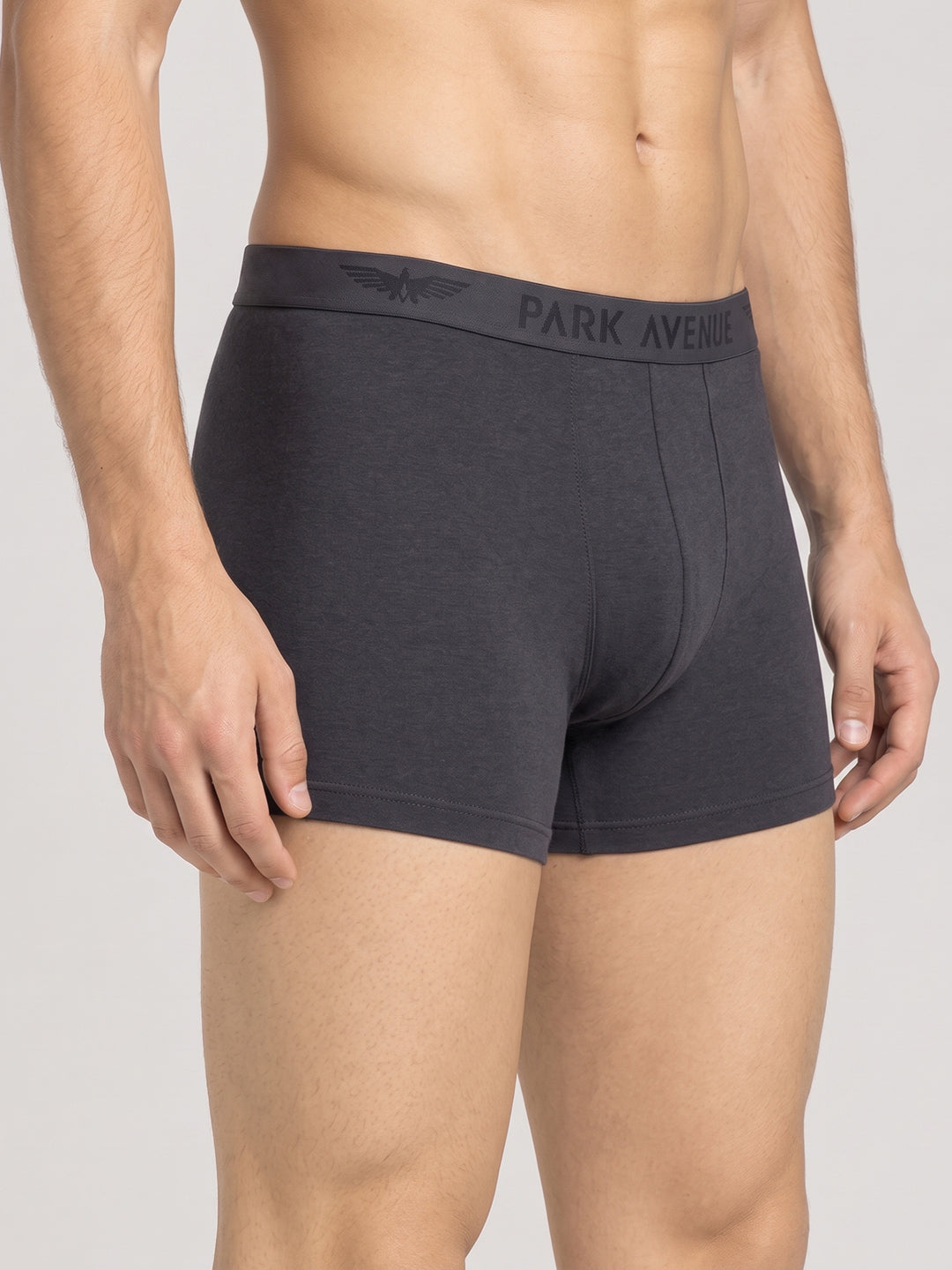Park Avenue Grey Trunk