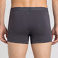 Park Avenue Grey Trunk