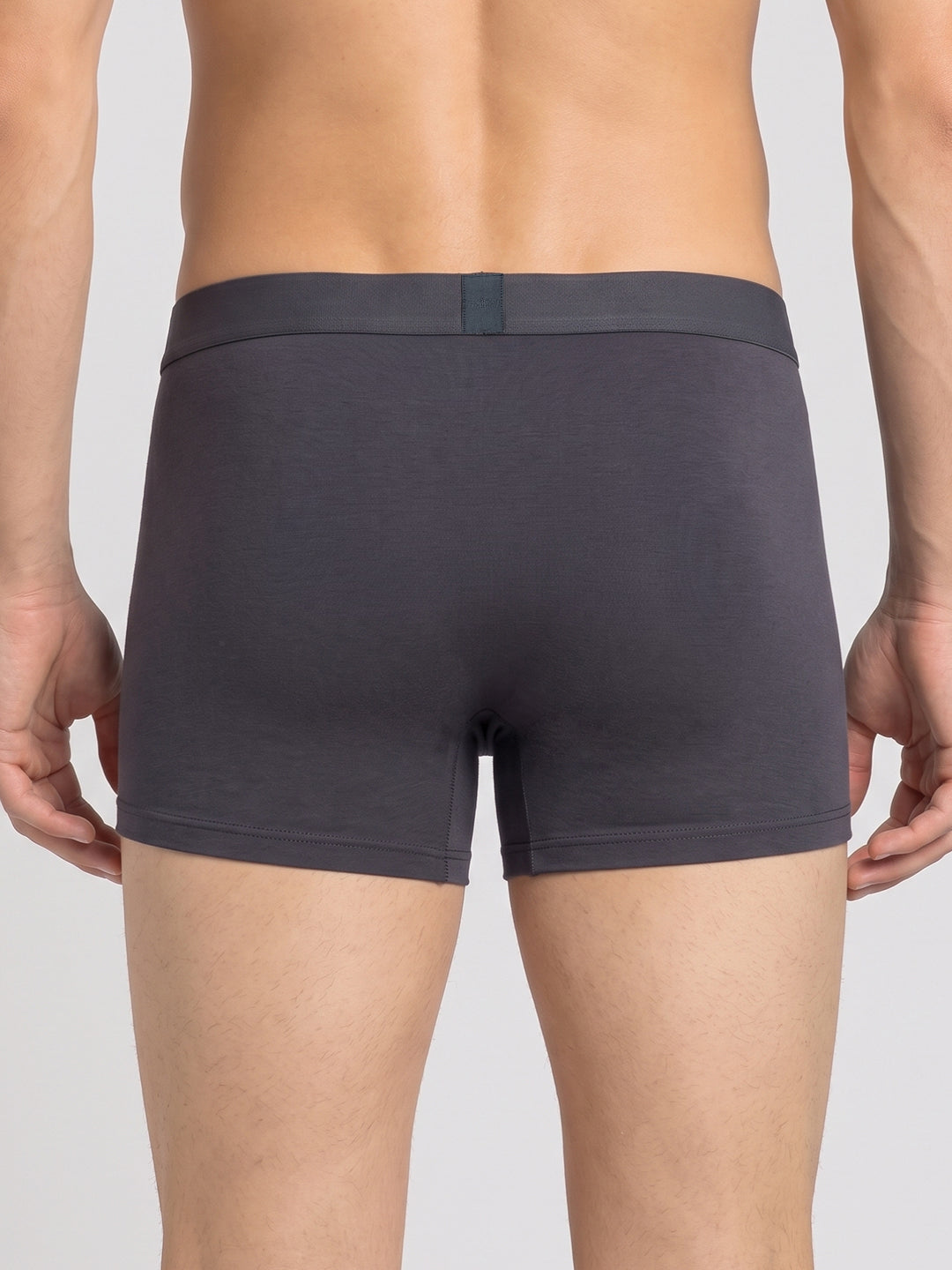 Park Avenue Grey Trunk