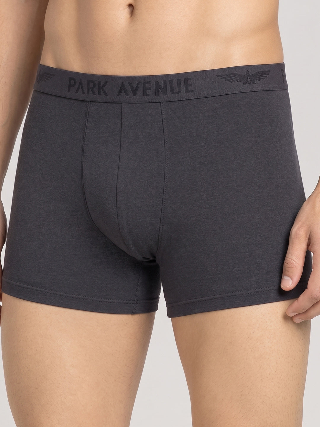 Park Avenue Grey Trunk
