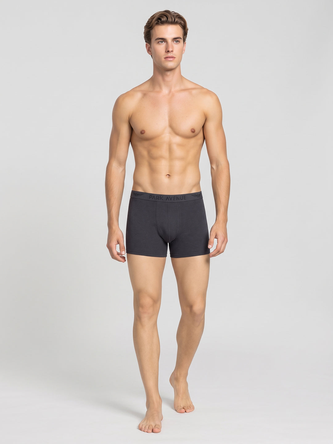 Park Avenue Grey Trunk