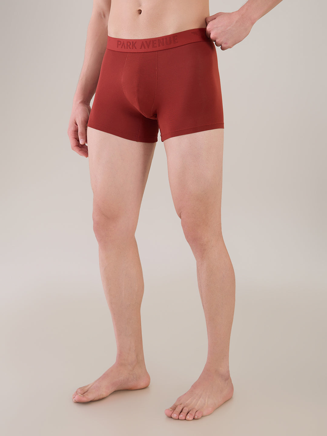 Park Avenue Marron Trunk
