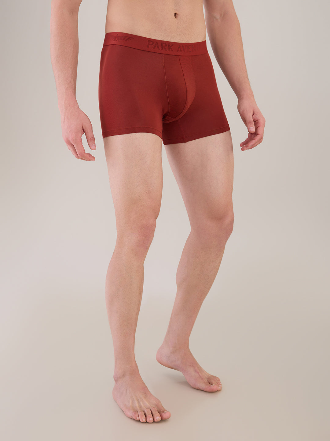 Park Avenue Marron Trunk