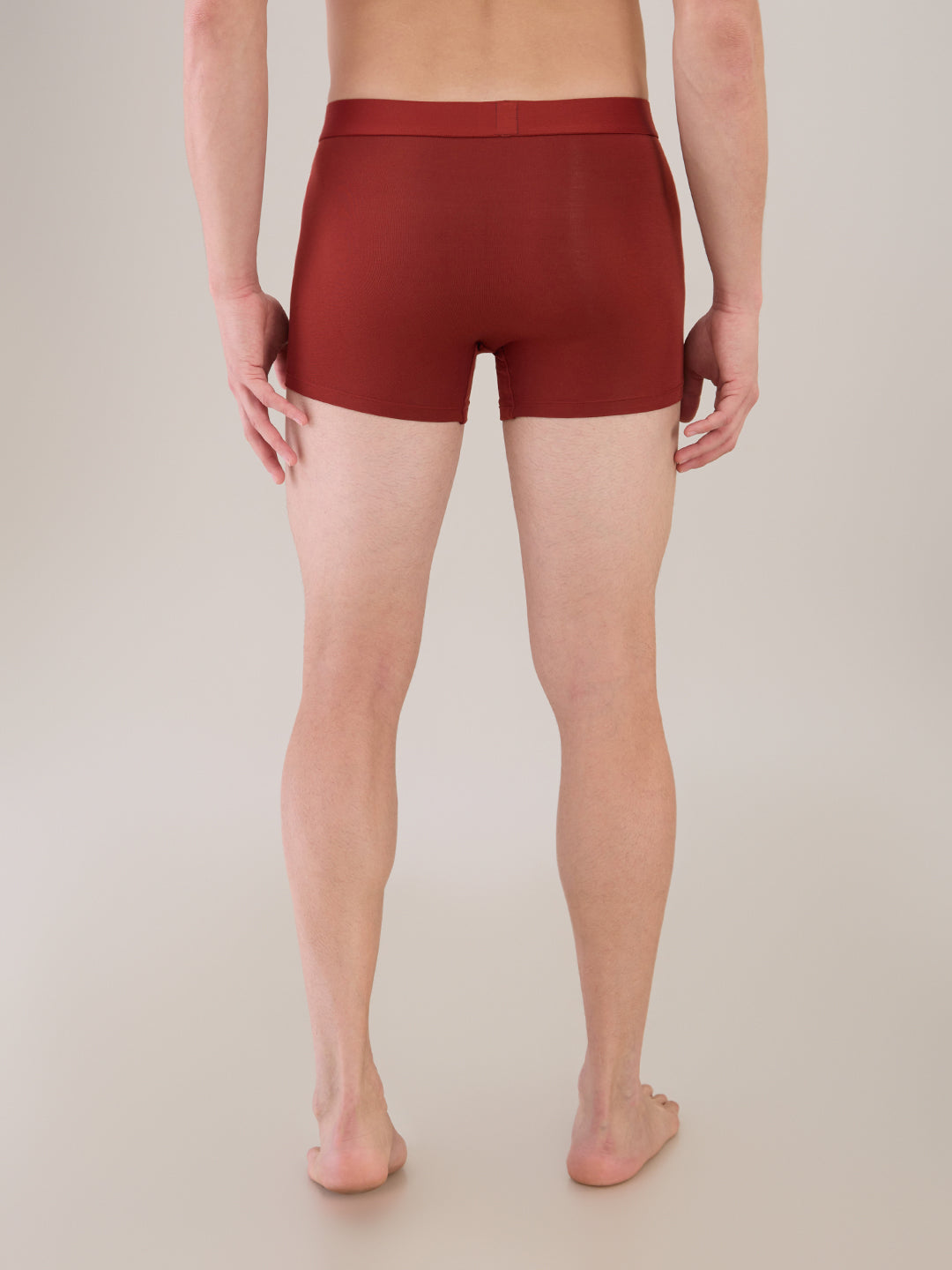 Park Avenue Marron Trunk