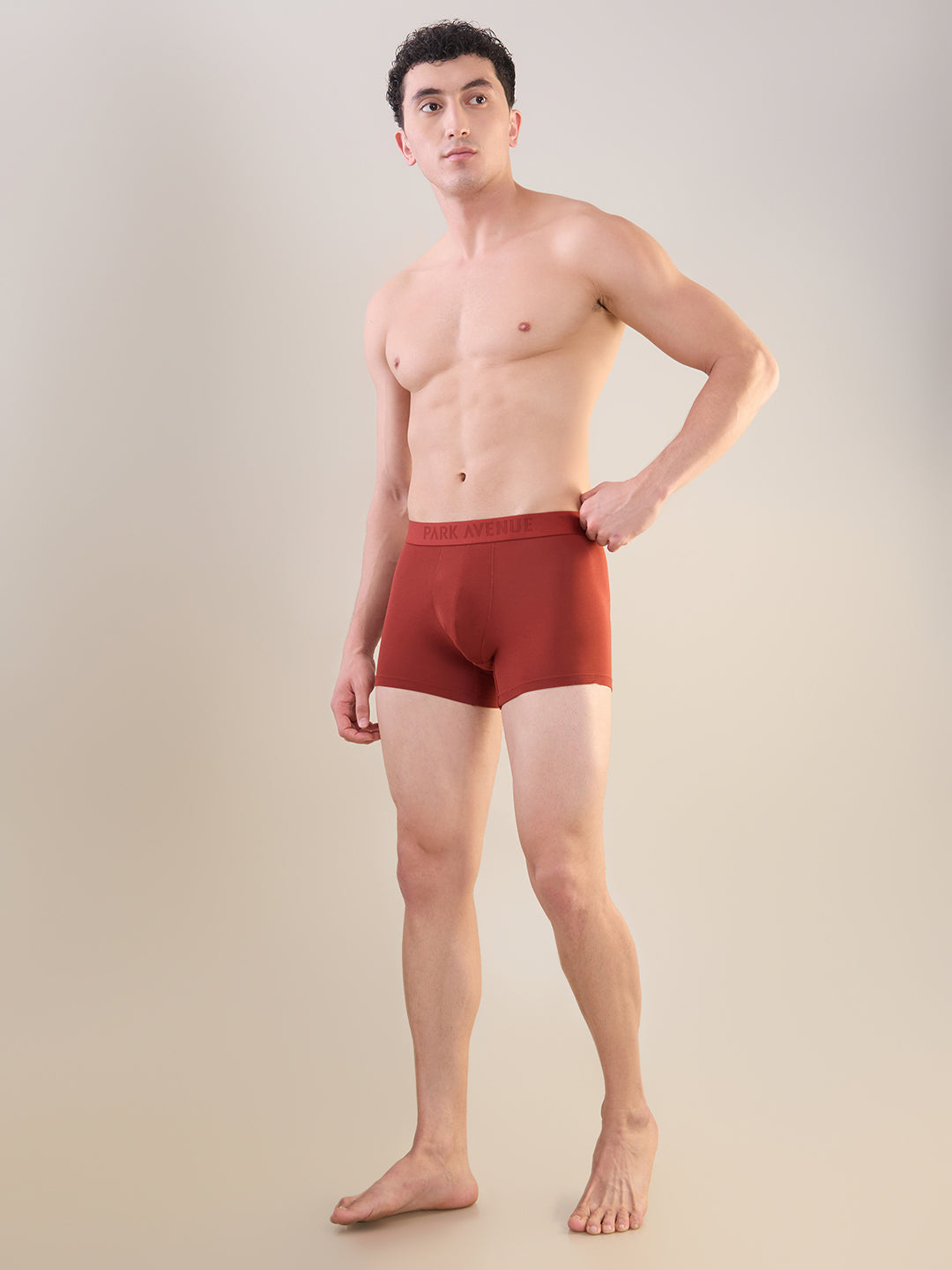 Park Avenue Marron Trunk