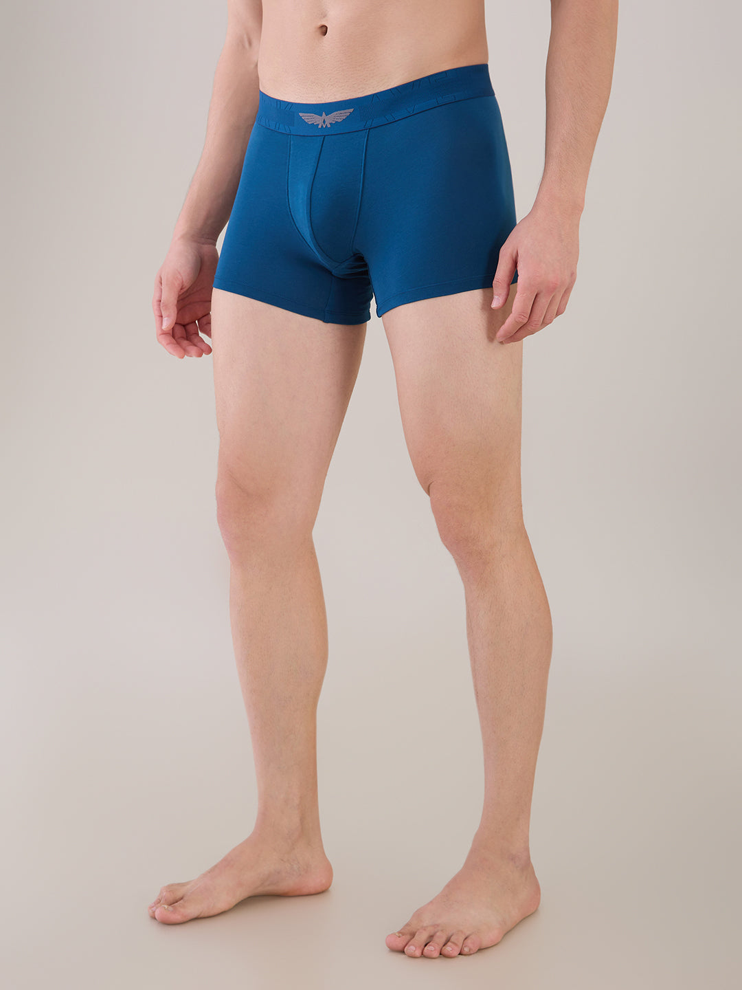 Park Avenue Blue Trunk