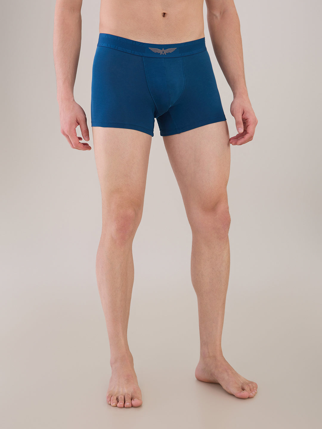 Park Avenue Blue Trunk