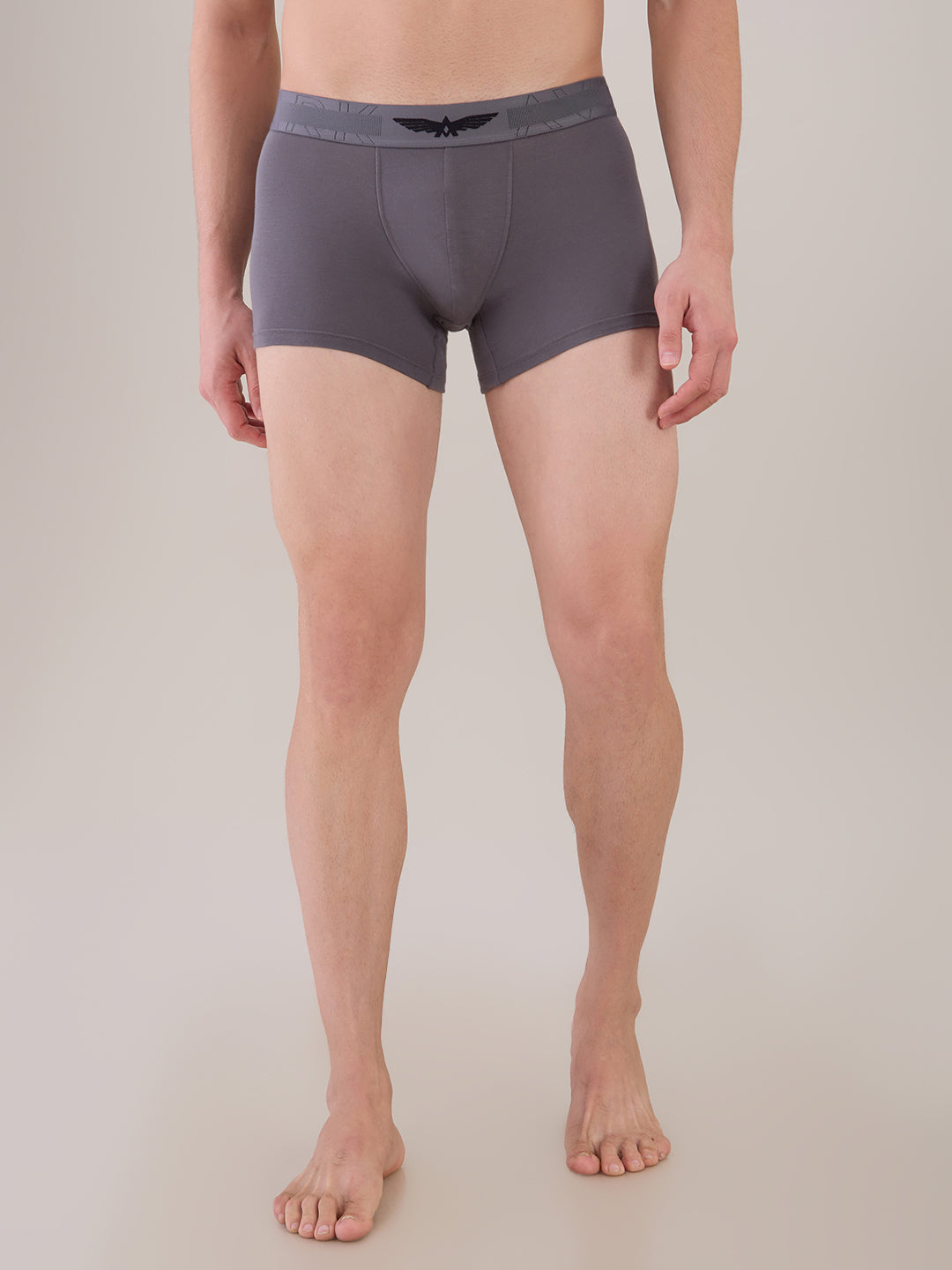 Park Avenue Grey Trunk