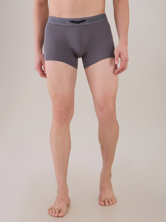 Park Avenue Grey Trunk