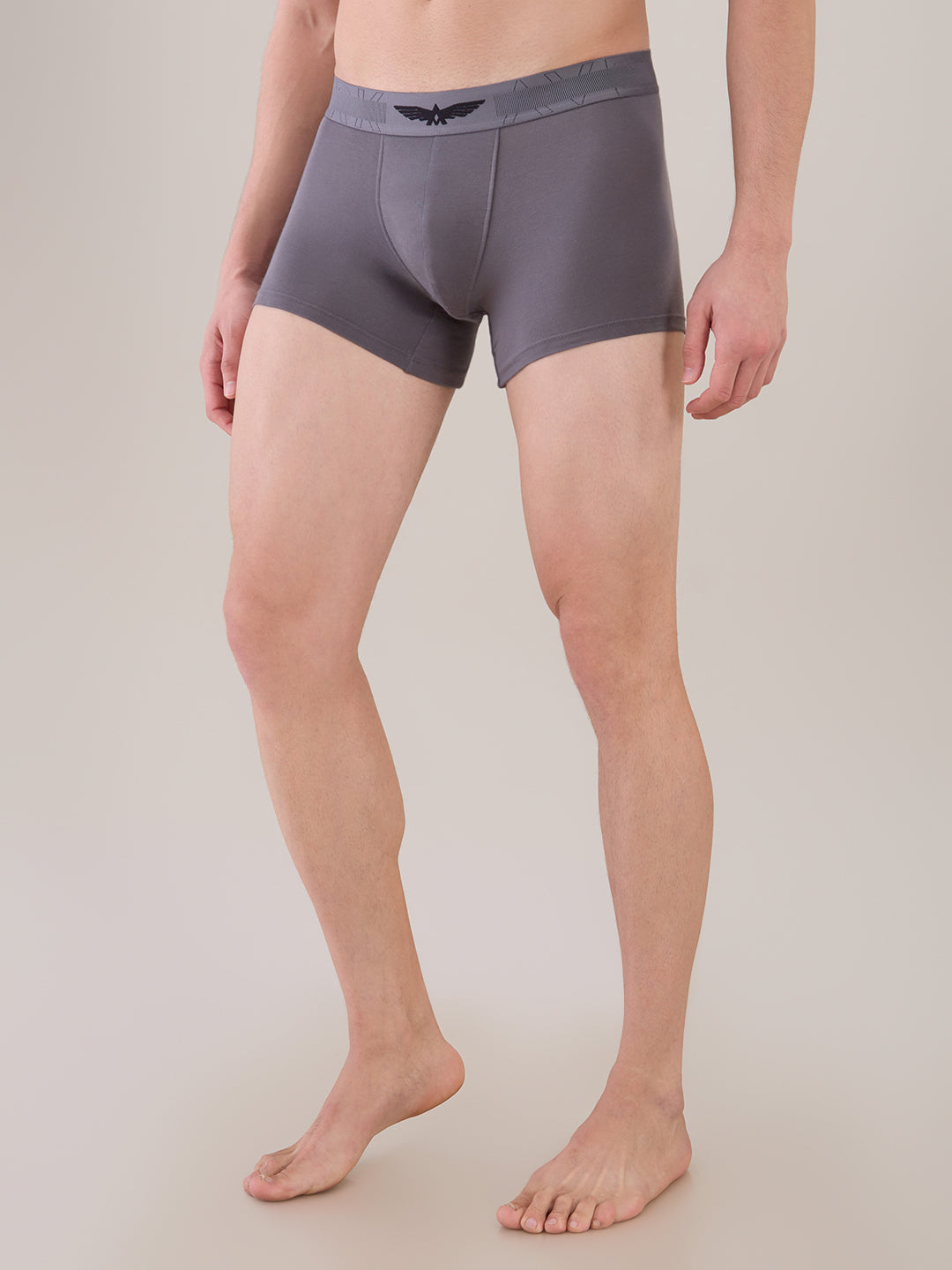 Park Avenue Grey Trunk