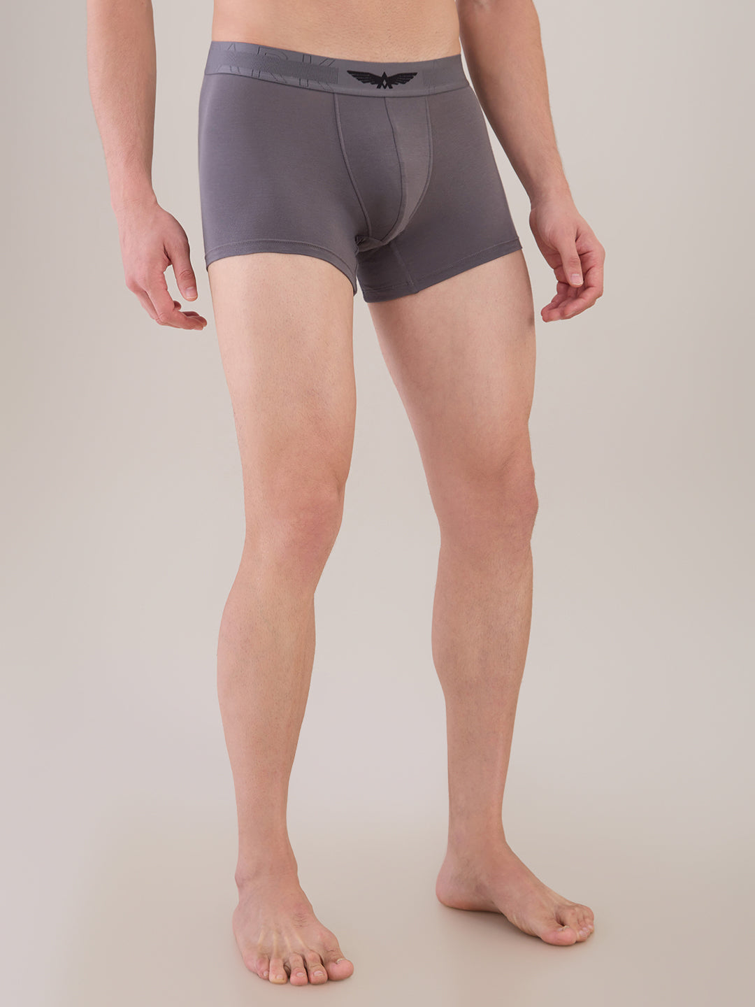 Park Avenue Grey Trunk