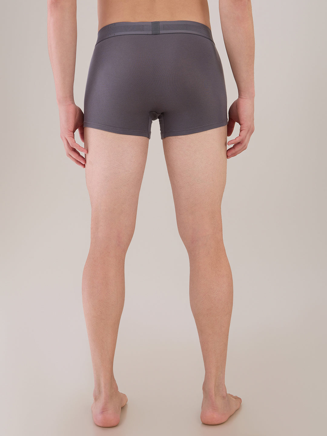 Park Avenue Grey Trunk