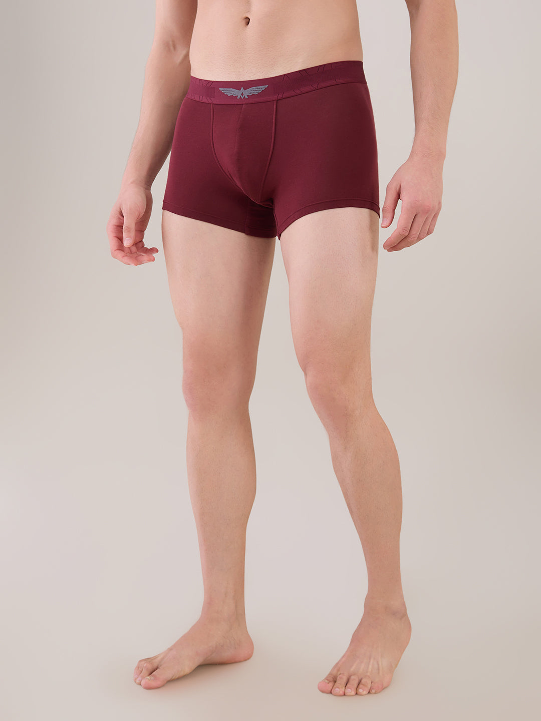 Park Avenue Marron Trunk