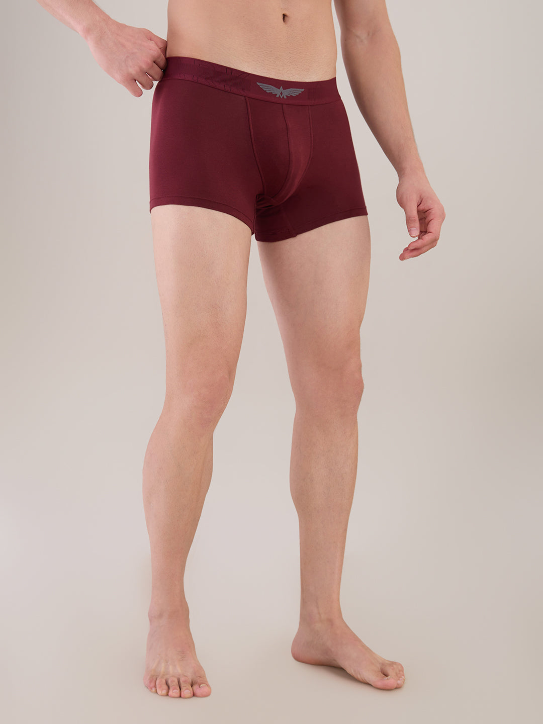 Park Avenue Marron Trunk