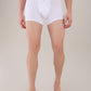 Park Avenue White Trunk