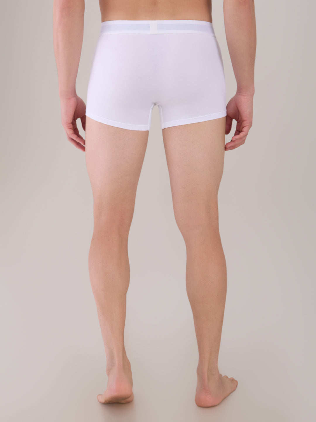Park Avenue White Trunk