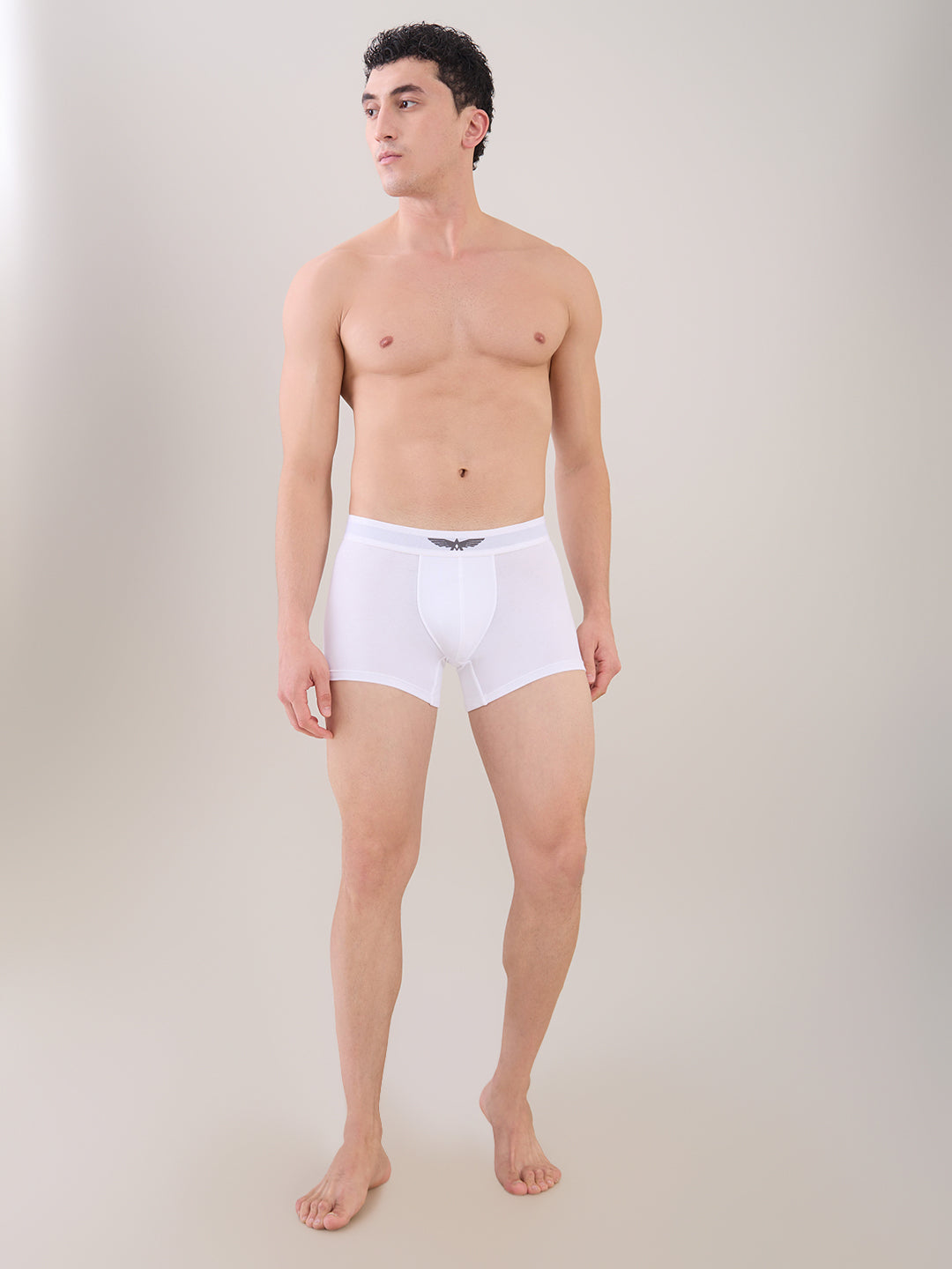 Park Avenue White Trunk