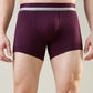Park Avenue Maroon Trunk