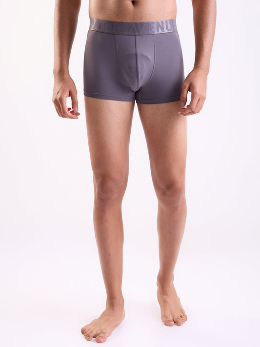 Park Avenue Grey Trunk