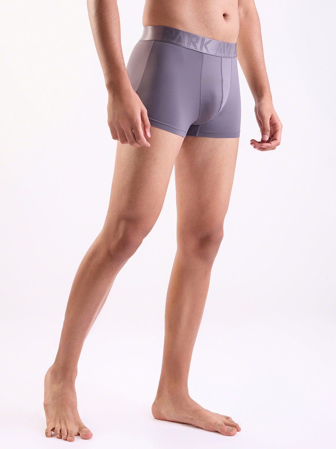 Park Avenue Grey Trunk