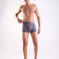 Park Avenue Grey Trunk