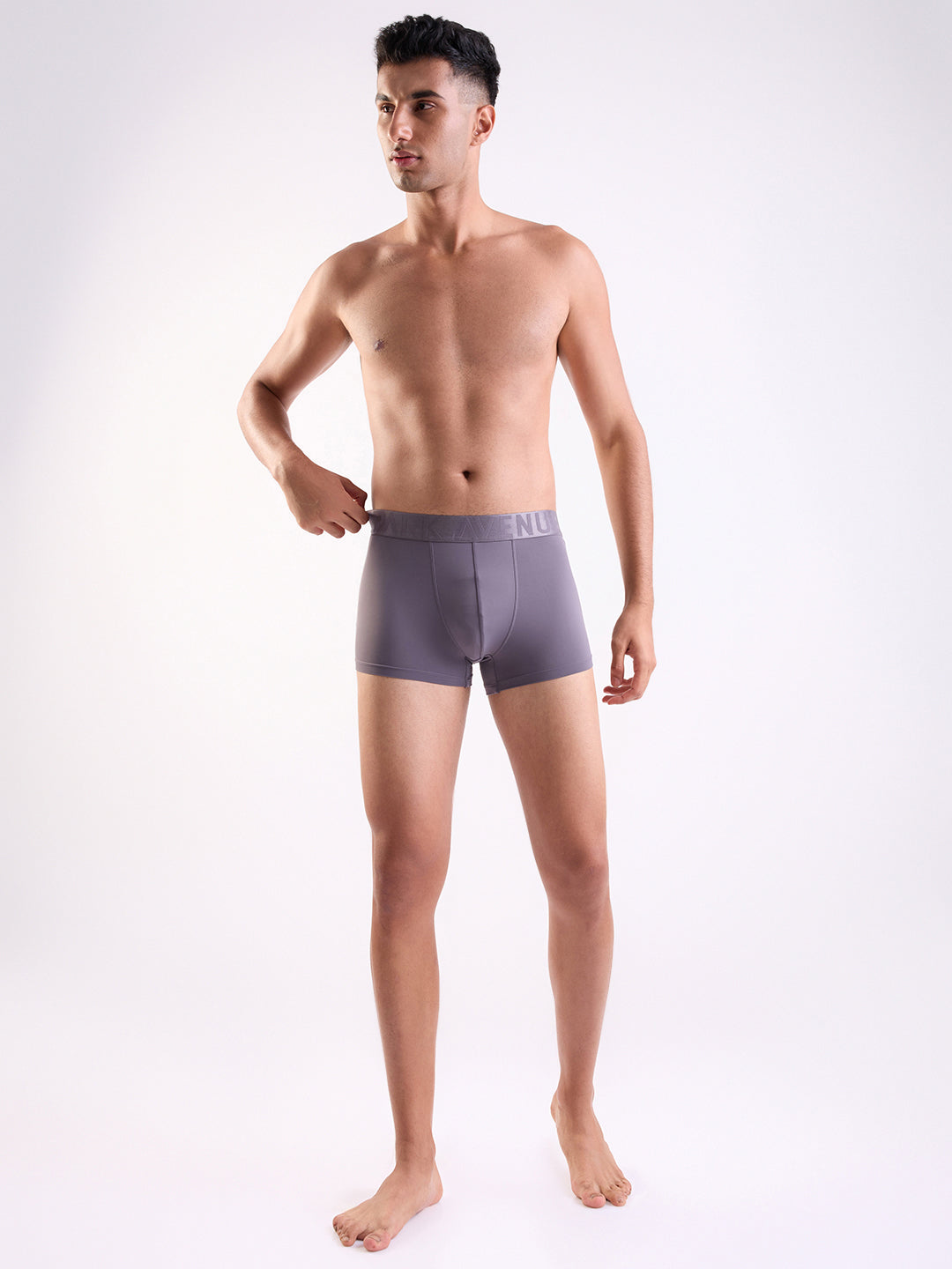 Park Avenue Grey Trunk