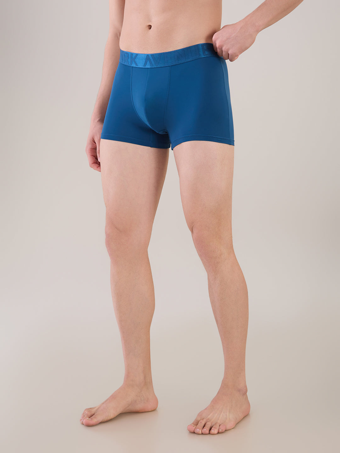 Park Avenue Blue Trunk