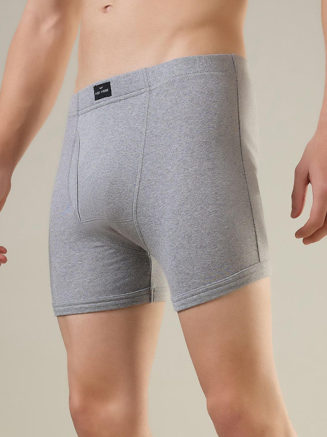 Park Avenue Grey Trunk
