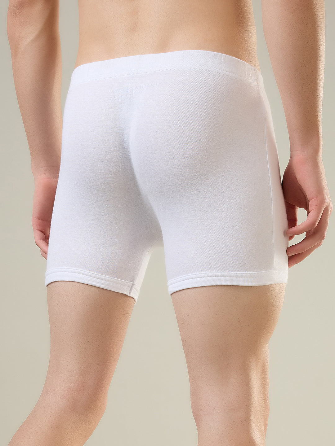 Park Avenue White Trunk