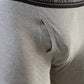 Park Avenue Grey Trunk