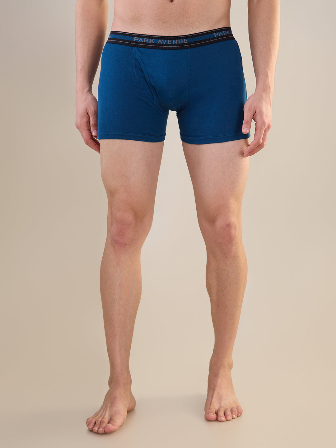 Park Avenue Blue Trunk