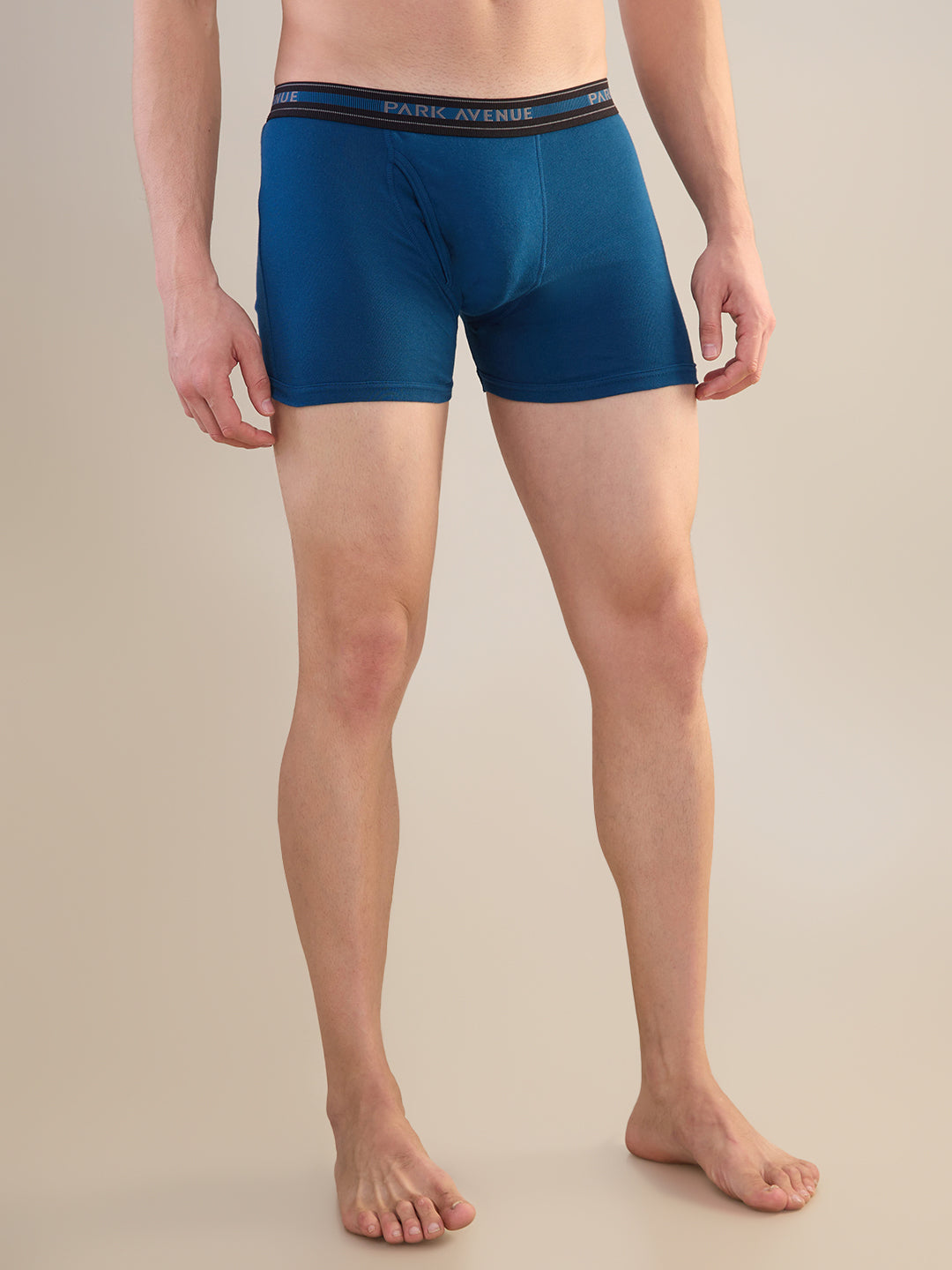 Park Avenue Blue Trunk