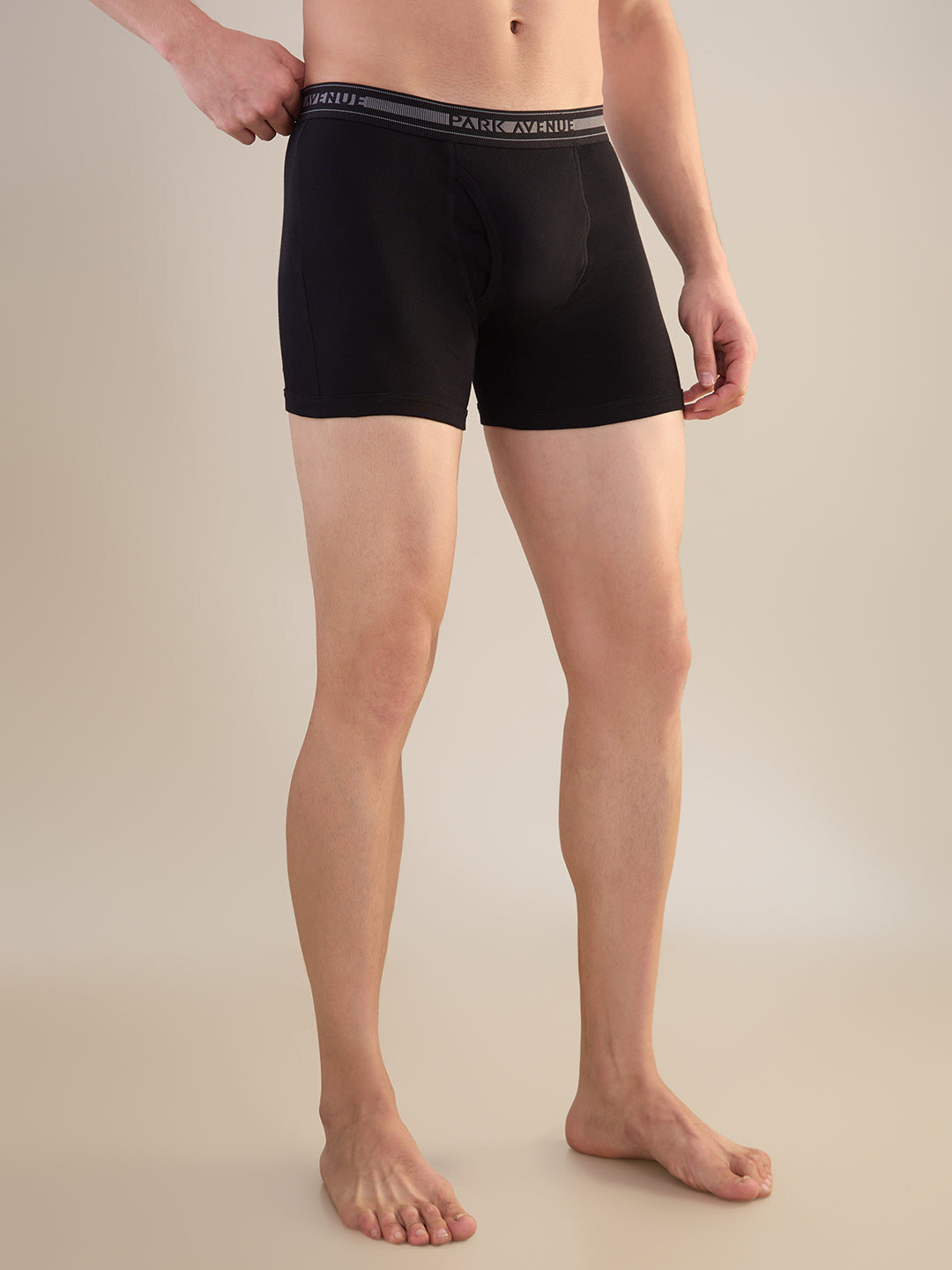 Park Avenue Multi-Colour Trunk