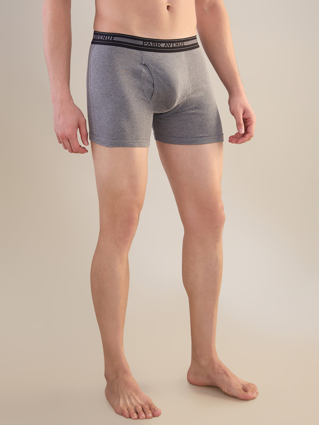 Park Avenue Multi-Colour Trunk