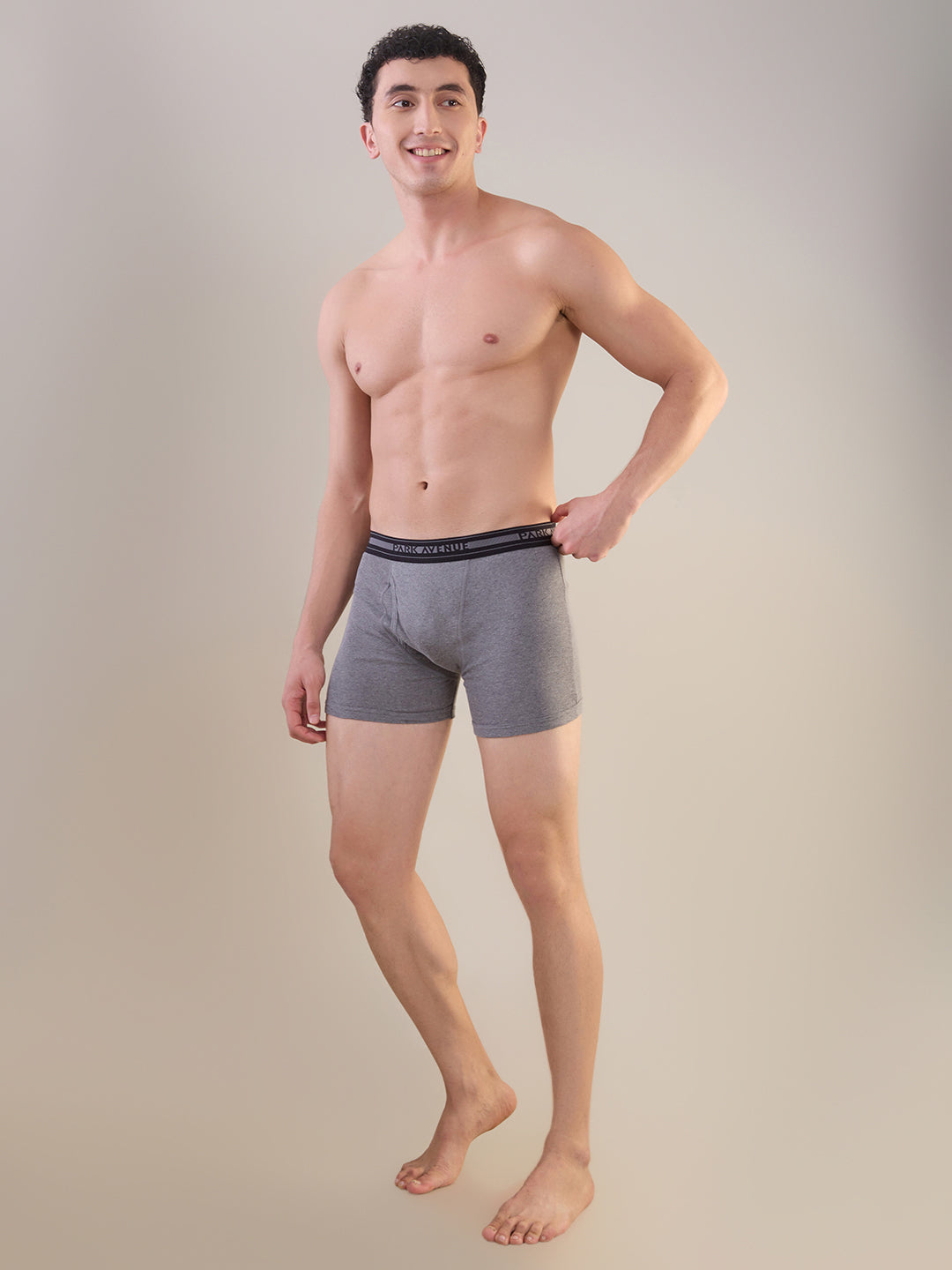Park Avenue Multi-Colour Trunk