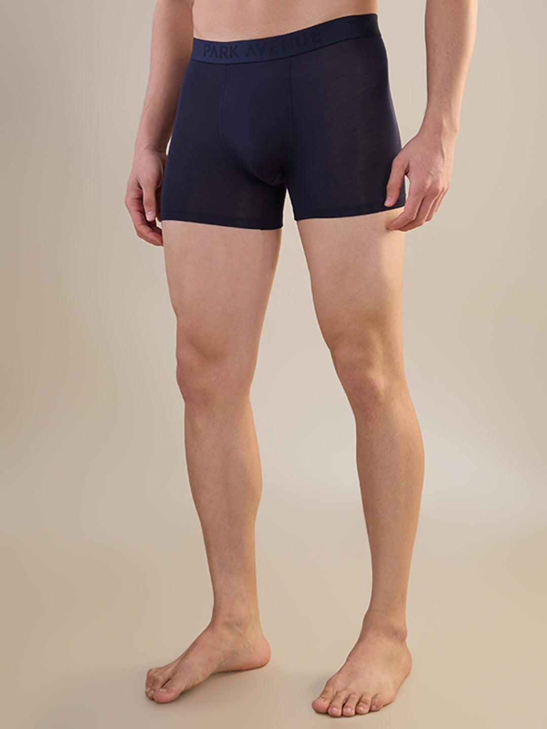 Park Avenue Blue Trunk