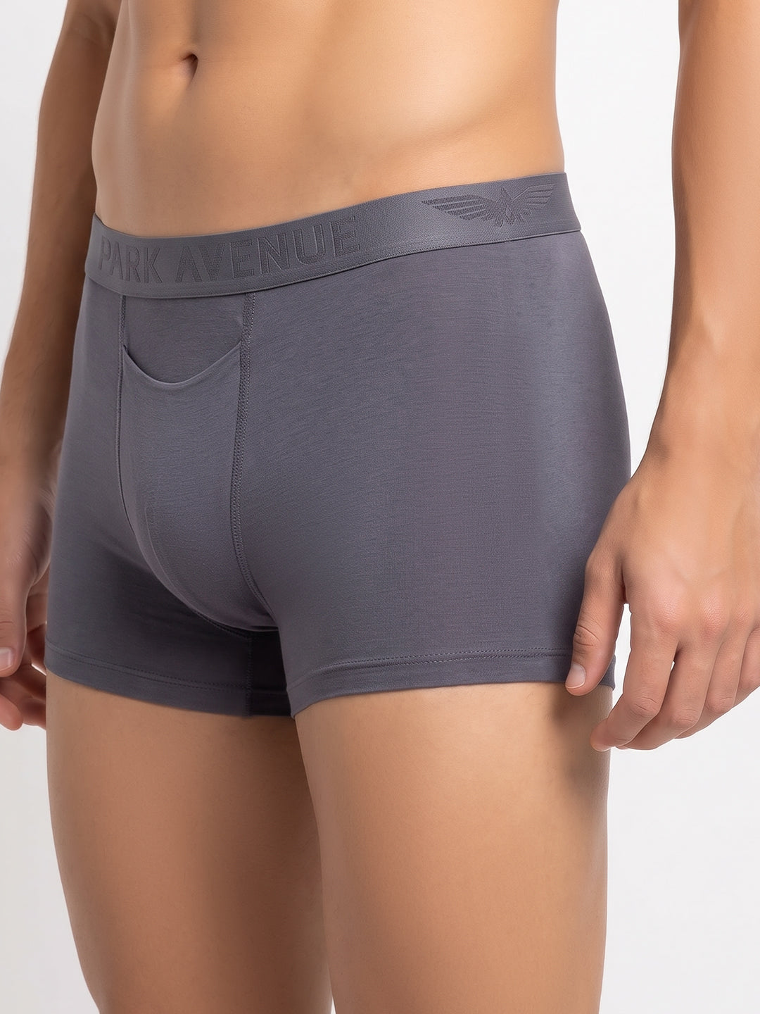 Park Avenue Men Grey Modal Blend Trunk