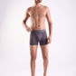 Park Avenue Grey Trunk