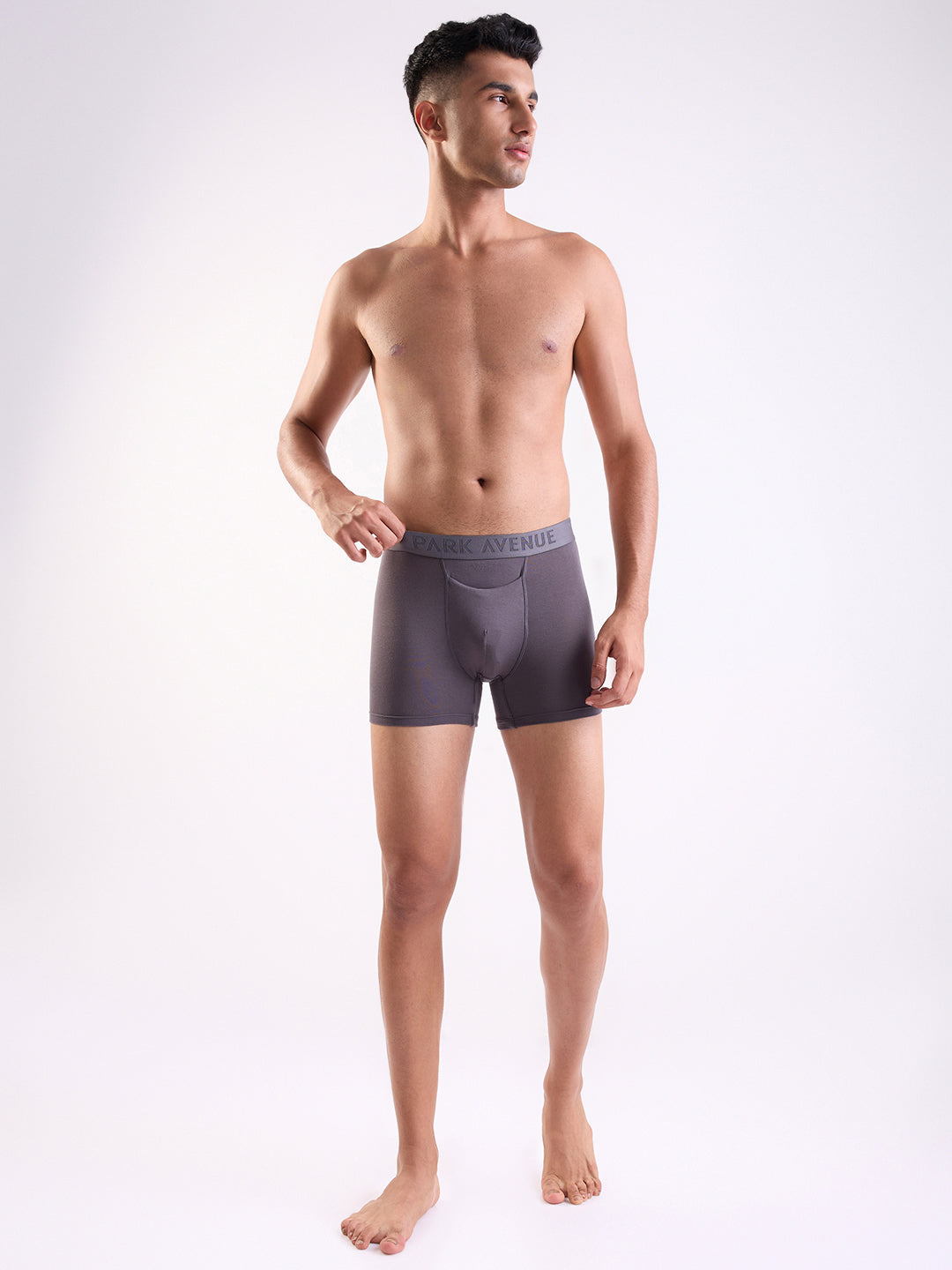 Park Avenue Grey Trunk