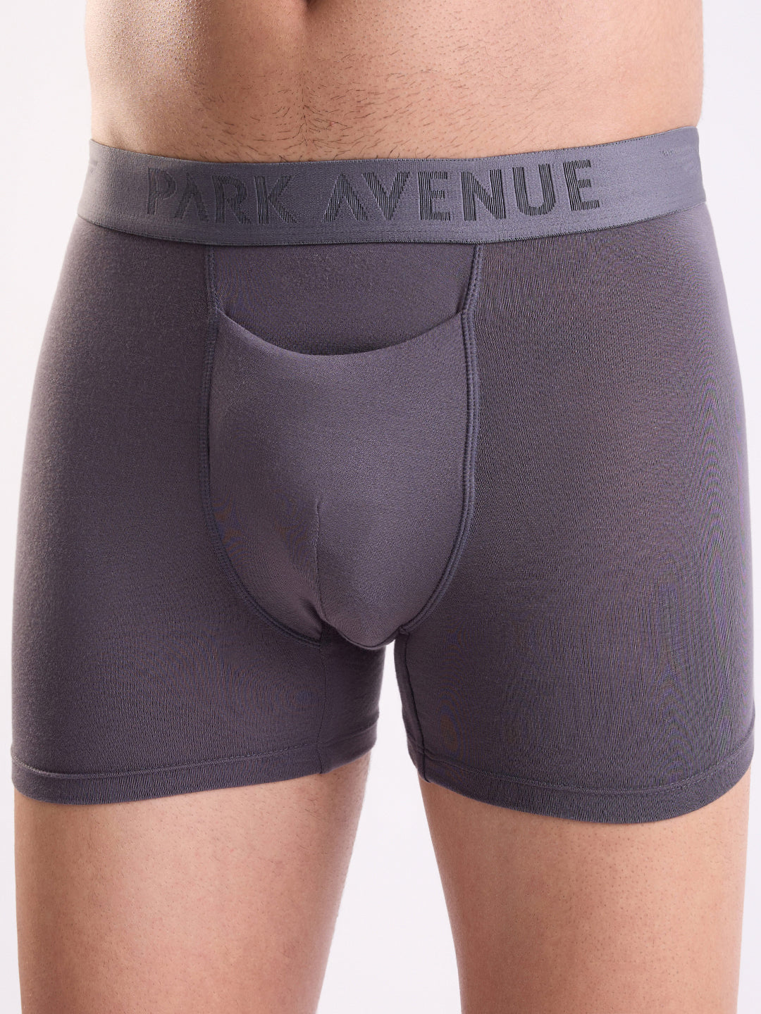 Park Avenue Men Grey Modal Blend Trunk