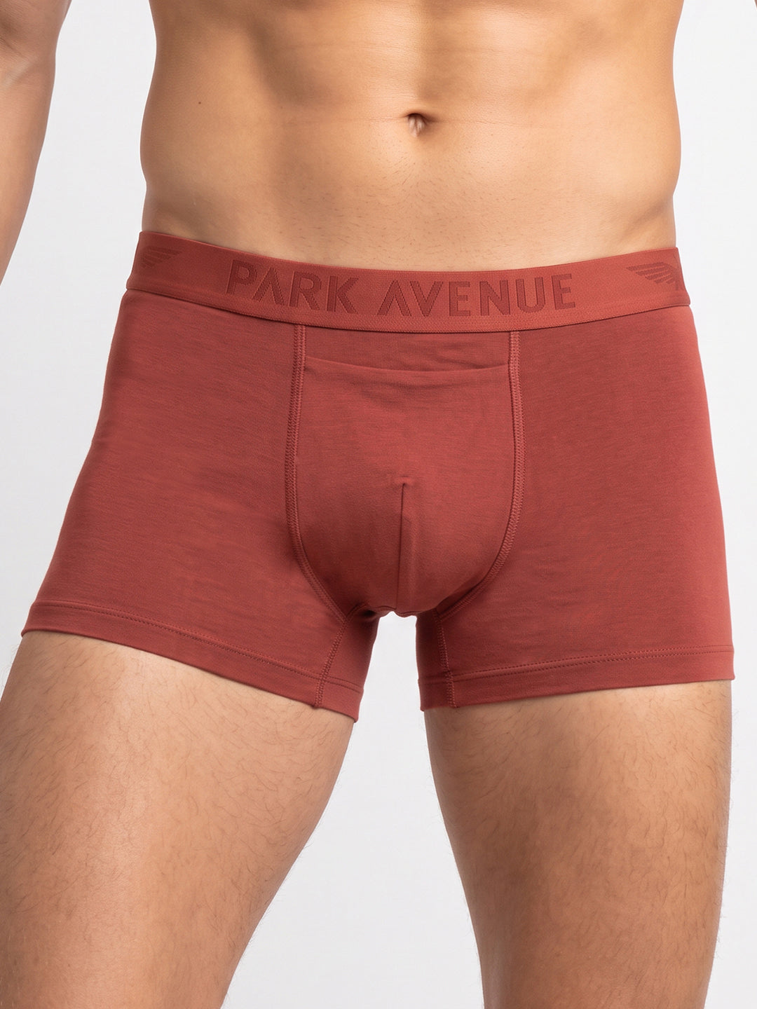 Park Avenue Men Marron Modal Blend Trunk
