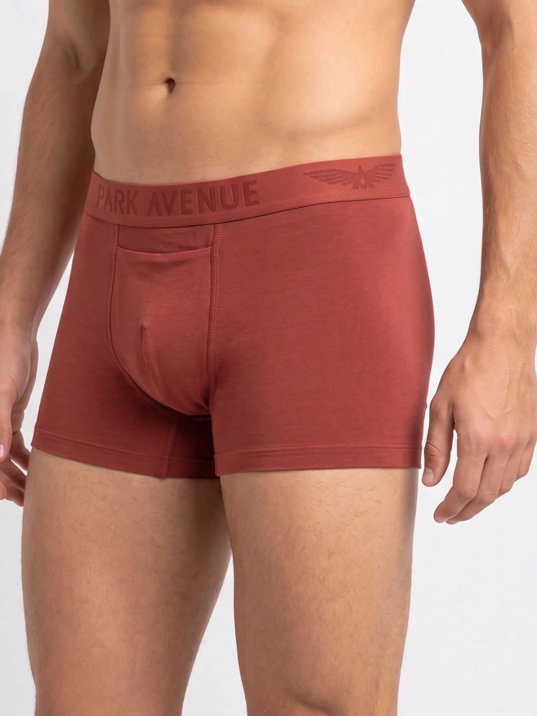 Park Avenue Men Marron Modal Blend Trunk