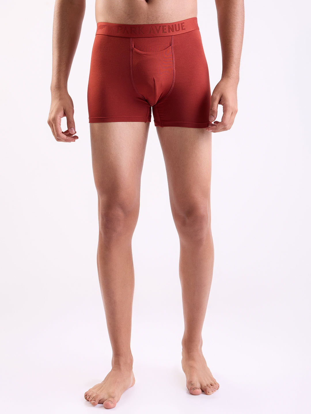 Park Avenue Marron Trunk